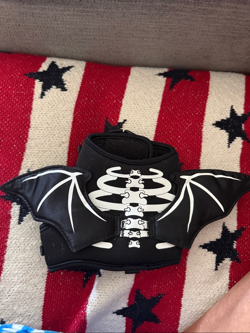 Spooky Bat Skeleton Dog Harness – Perfect for Halloween!
